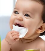 PureTouch Wet Wipes